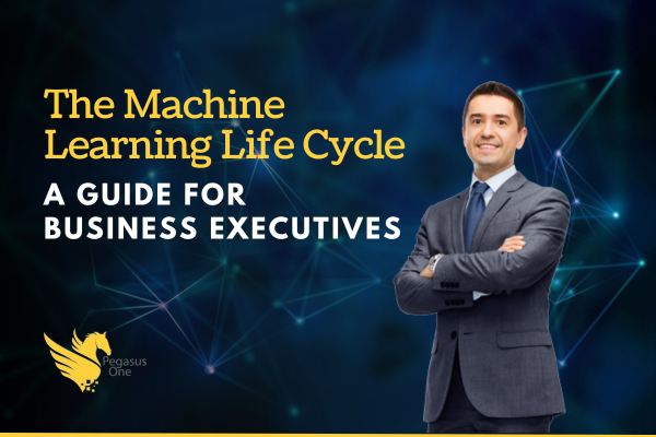 Machine learning for executives guide