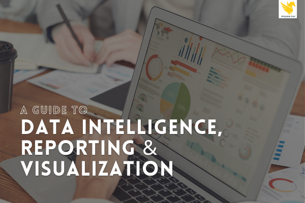 Data Intelligence by Pegasus One: Visualizations, Reporting and Best Practices